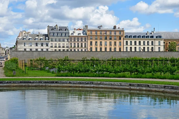 Versalles; Francia - 16 de junio de 2019: Le potager du roi —  Fotos de Stock