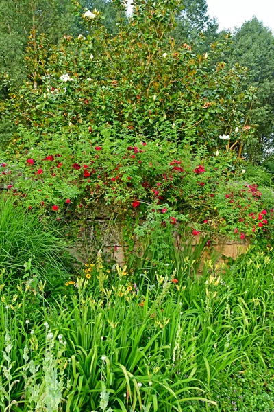 Sasnieres; Francia - 30 de junio de 2019: du Plessis Sasnieres garden — Foto de Stock