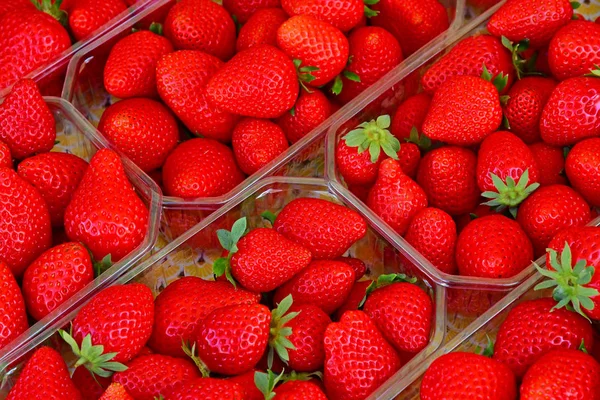 Jouy en josas; Francia - 1 de junio de 2019: el mercado de las casas rurales —  Fotos de Stock