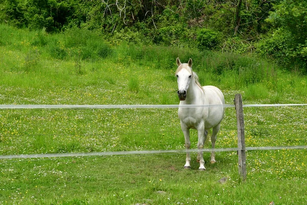 Lainville en Vexin, Fransa - 24 Mayıs 2019 : manzara — Stok fotoğraf