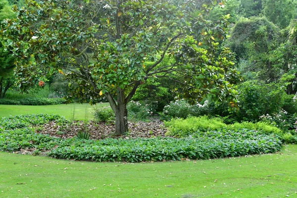 Sasnieres; france - 30. Juni 2019: du plessis sasnieres garden — Stockfoto