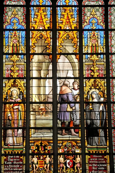 Belgien, pittoreska katedralen i Bryssel — Stockfoto