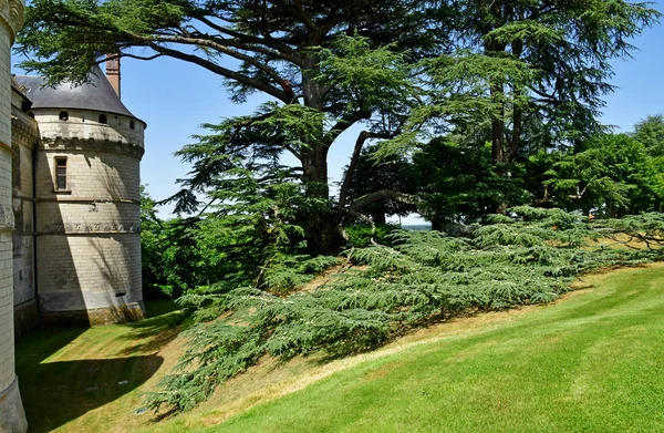 Chaumont sur Loire; Frankrig - 29 juni 2019: renæssancen castl - Stock-foto