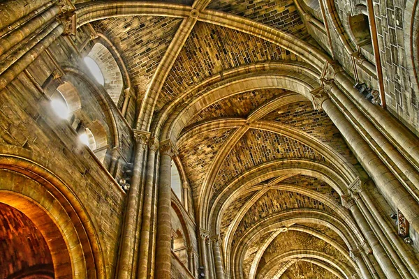 Poissy Frankrijk-april 11 2019: de collegiale kerk in het voorjaar — Stockfoto