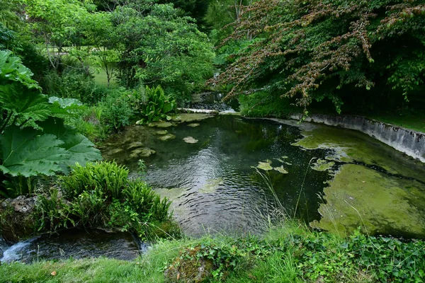 Sasnieres; France - june 30 2019: du Plessis Sasnieres garden — стокове фото