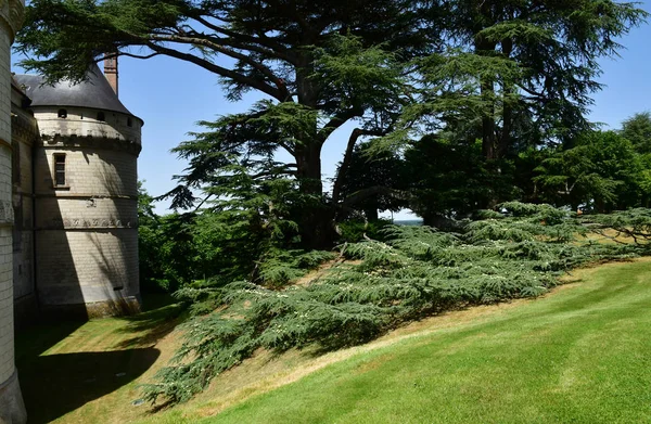 Chaumont sur Loire; Francia - 29 de junio de 2019: el castillo renacentista —  Fotos de Stock