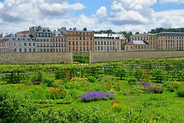 Versalles; Francia - 16 de junio de 2019: Le potager du roi — Foto de Stock
