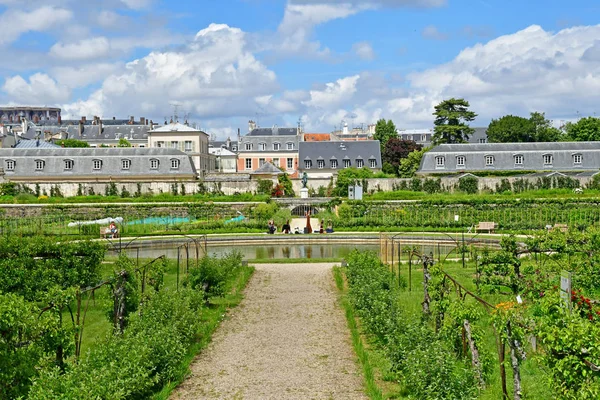 Versalles; Francia - 16 de junio de 2019: Le potager du roi — Foto de Stock