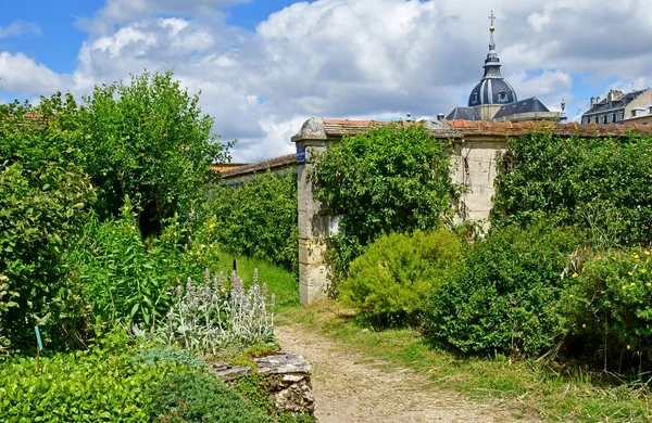 Versalles; Francia - 16 de junio de 2019: Le potager du roi — Foto de Stock