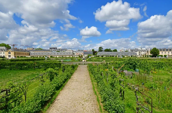 凡尔赛；法国- 2019年6月16日：Le potager du roi — 图库照片