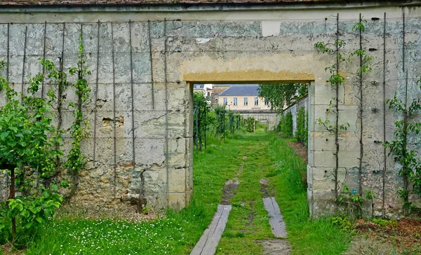 Versalhes; França - 16 de junho de 2019: Le potager du roi — Fotografia de Stock