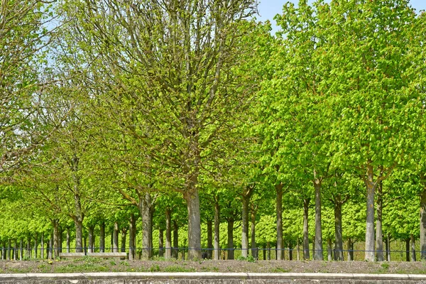 Saint Germain en Laye; Francia - 18 de abril de 2019: parque del castillo —  Fotos de Stock