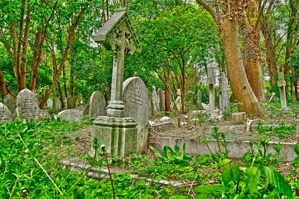 London, England - may 6 2019 : Highgate cemetery — Stock Photo, Image