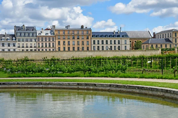 Versalles; Francia - 16 de junio de 2019: Le potager du roi —  Fotos de Stock