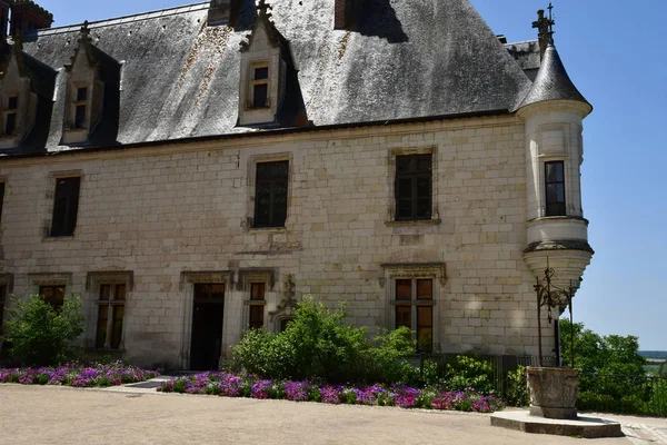 Chaumont sur Loire; Francie-Červen 29 2019: renesanční Berg — Stock fotografie