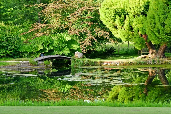 Sasnieres; França - 30 de junho de 2019: du Plessis Sasnieres garden — Fotografia de Stock