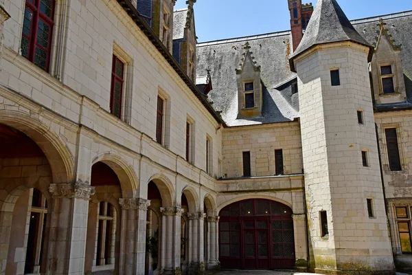 Шомон-сюр-Луар; Франция - 29 июня 2019 года: кастл эпохи Возрождения — стоковое фото