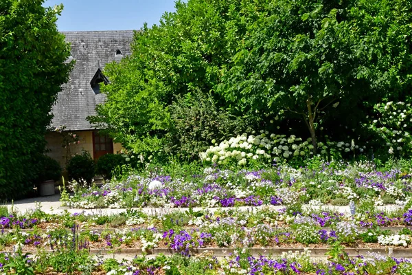 Chaumont sur Loire; France - june 29 2019: castle park — Stock Photo, Image