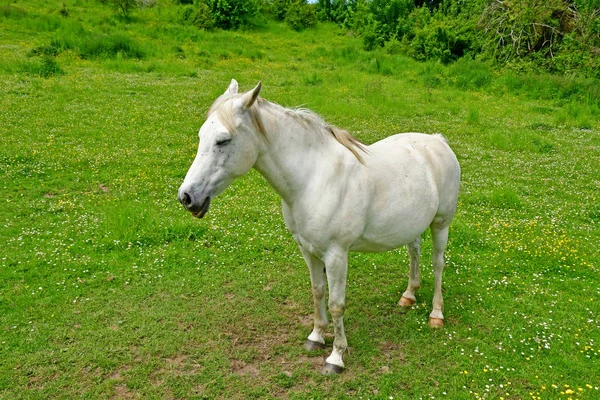 Lainville en Vexin, Francja-maj 24 2019: krajobraz — Zdjęcie stockowe