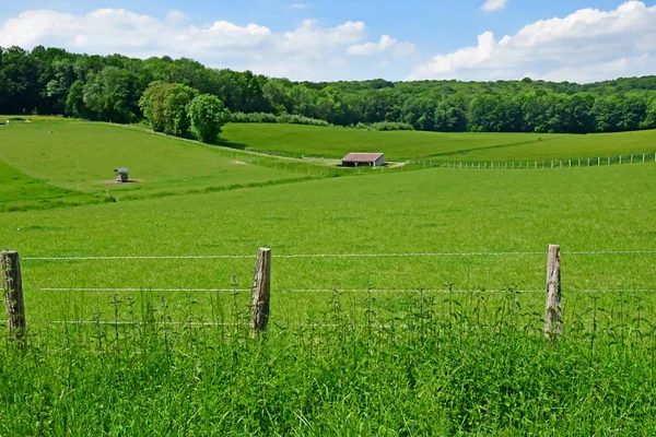 Lainville en Vexin, France - may 24 2019 : landscape — Stock Photo, Image