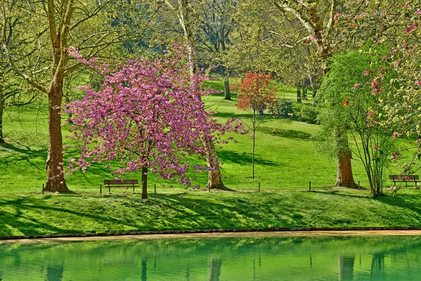 Poissy Francja-kwiecień 11 2019: Meissonier Park — Zdjęcie stockowe