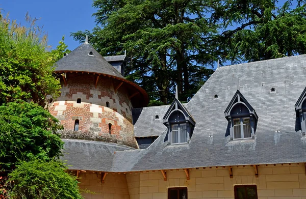 Chaumont sur Loire; Francie-Červen 29 2019: hrad stabilní — Stock fotografie