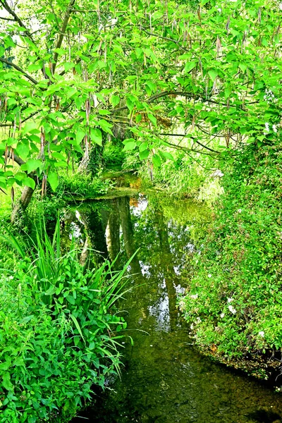 Sasnieres; Francia - 30 de junio de 2019: du Plessis Sasnieres garden — Foto de Stock