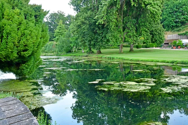 Sasnieres; Frankrike - juni 30 2019: du Plessis Sasnieres trädgård — Stockfoto
