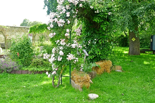 Saint Cyr l Ecole; Francia - 16 giugno 2019: garden centre — Foto Stock