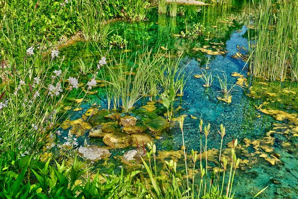 Chaumont sur Loire; Francia - 29 de junio de 2019: las fes internacionales —  Fotos de Stock