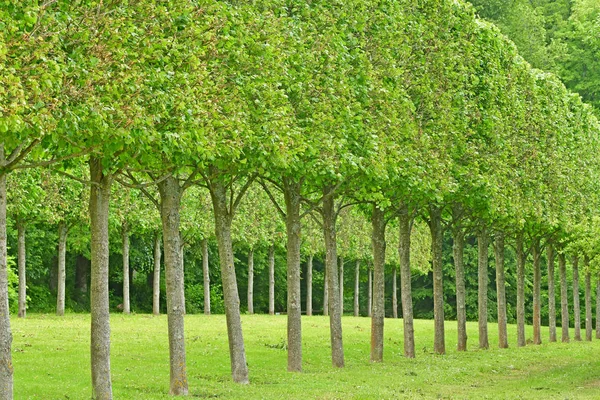 Villarceaux, França - 9 de junho de 2019: castelo histórico — Fotografia de Stock