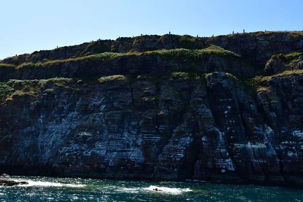 Plevenon; France - july 28 2019 : the Cap Frehel — Stock Photo, Image