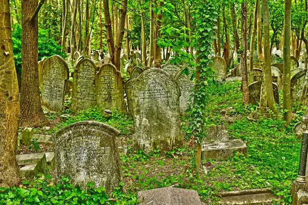 Londres, Inglaterra - 6 de maio de 2019: Cemitério Highgate — Fotografia de Stock