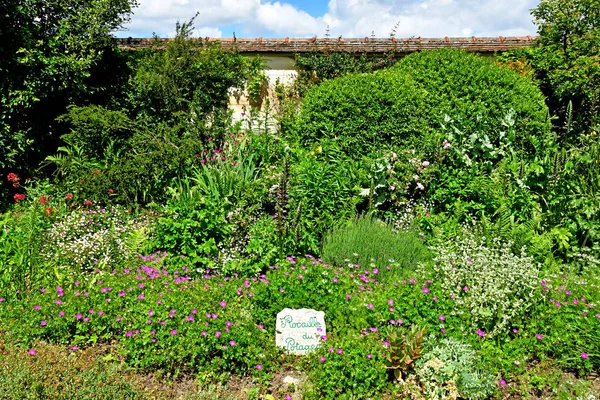 Versalhes; França - 16 de junho de 2019: Le potager du roi — Fotografia de Stock