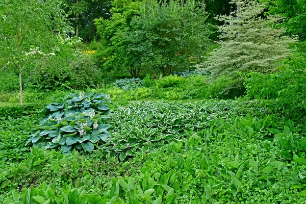 Sasnieres; França - 30 de junho de 2019: du Plessis Sasnieres garden — Fotografia de Stock