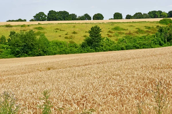 Harquency ; France - 19 juillet 2019 : paysage près de la Grange — Photo