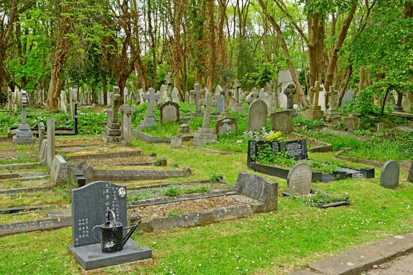 London, England-maj 6 2019: Highgate kyrkogård — Stockfoto