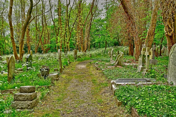 London, England - may 6 2019 : Highgate cemetery — Stock Photo, Image