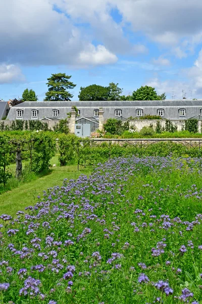 Versalles; Francia - 16 de junio de 2019: Le potager du roi — Foto de Stock