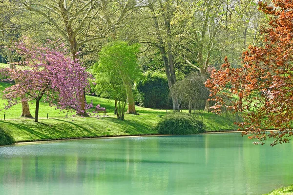 Poissy Francja-kwiecień 11 2019: Meissonier Park — Zdjęcie stockowe