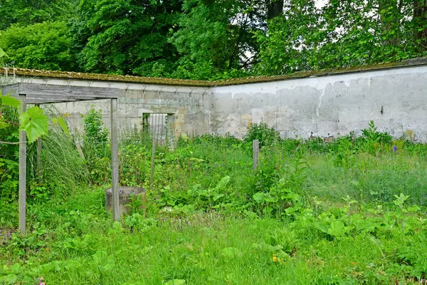 Versailles; france - 16. Juni 2019: le potager du roi — Stockfoto