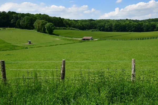 Lainville en Vexin, France - may 24 2019 : landscape — Stock Photo, Image