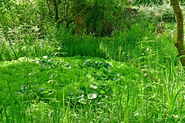 Chaumont sur Loire; Francia - 29 de junio de 2019: las fes internacionales — Foto de Stock