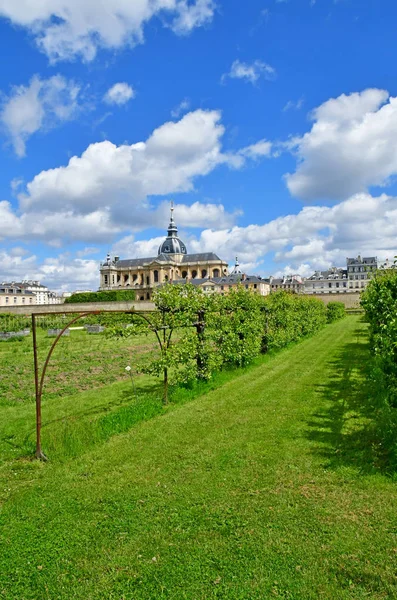 Wersal; Francja - 16 czerwca 2019: Le potager du roi — Zdjęcie stockowe