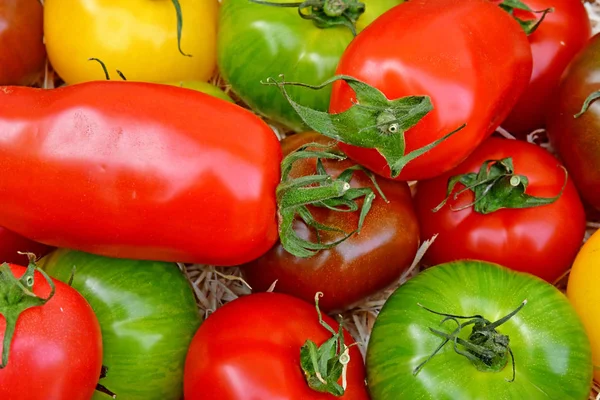 Saint Germain en Laye; França - 20 de abril de 2019: tomates — Fotografia de Stock