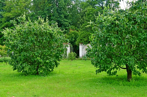 Versalhes; França - 16 de junho de 2019: Le potager du roi — Fotografia de Stock