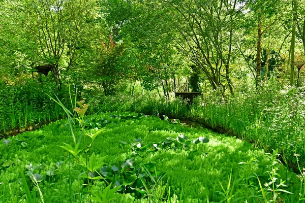 Chaumont sur Loire; Francia - 29 de junio de 2019: las fes internacionales — Foto de Stock