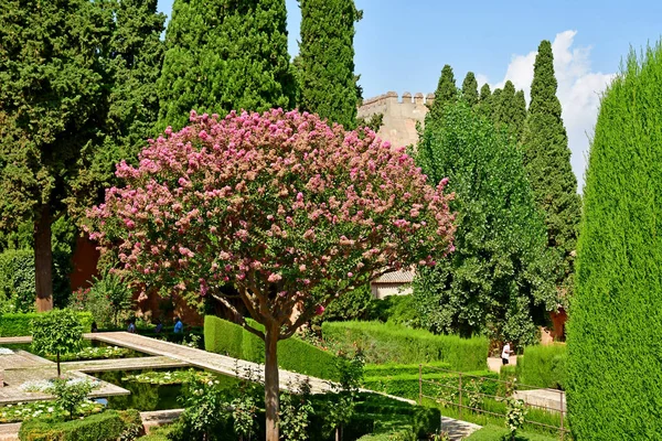 Γρανάδα Ισπανία-Αύγουστος 27 2019: παλάτι της Αλάμπρα — Φωτογραφία Αρχείου