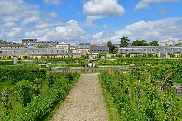 Versalles; Francia - 16 de junio de 2019: Le potager du roi — Foto de Stock