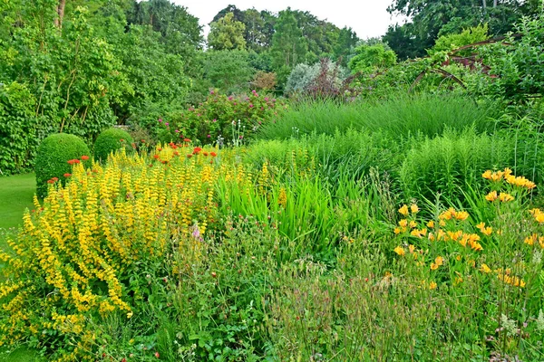 Sasnieres; Francia - 30 de junio de 2019: du Plessis Sasnieres garden — Foto de Stock